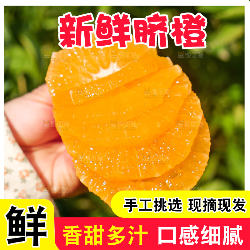 赣南脐橙