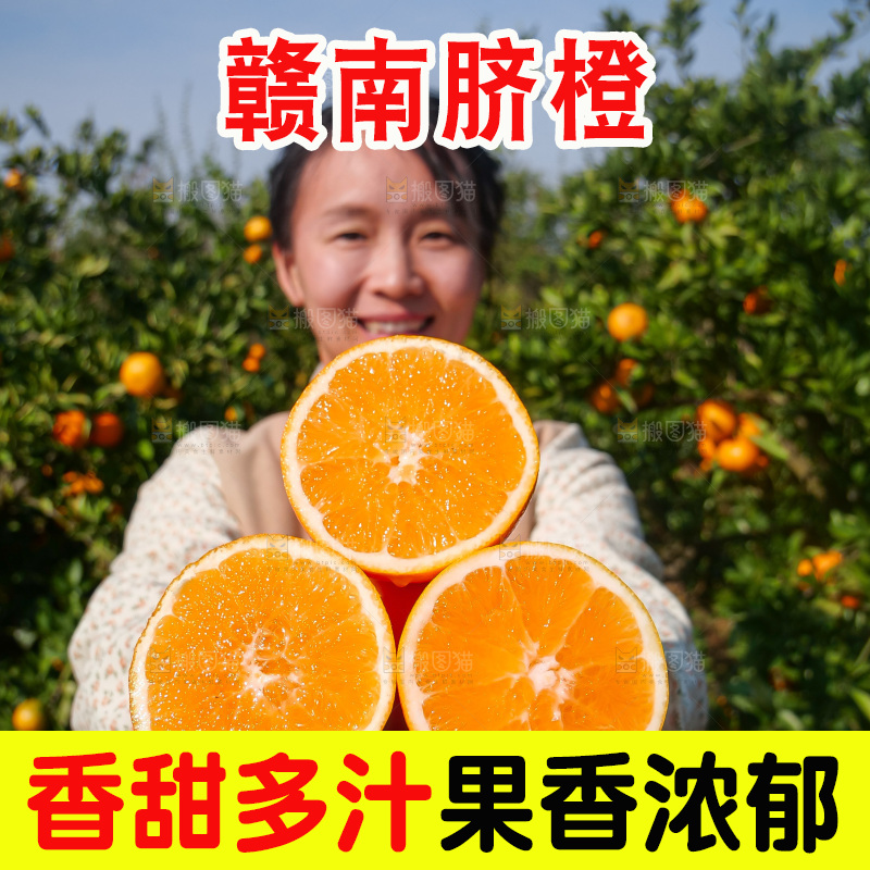 赣南脐橙