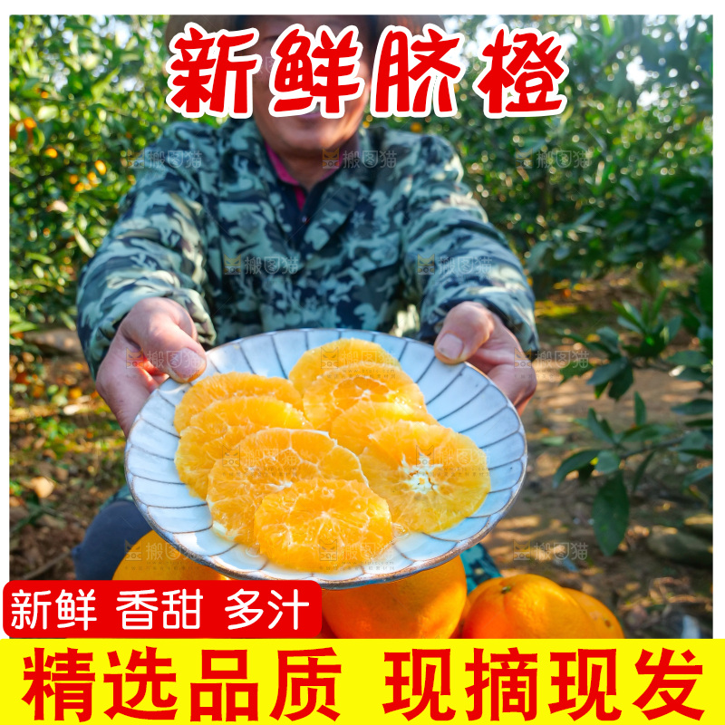赣南脐橙