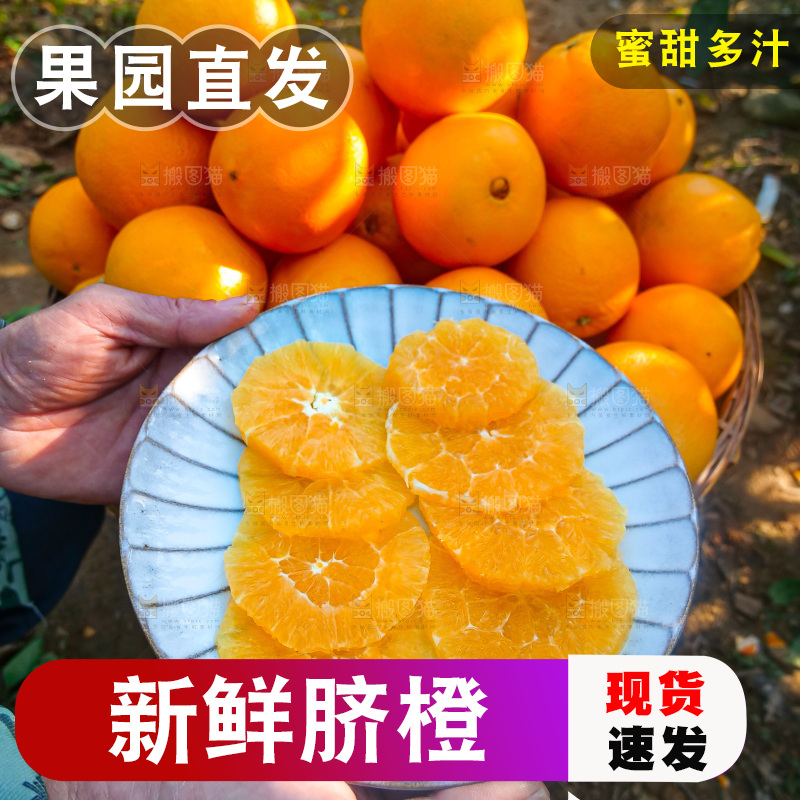 赣南脐橙