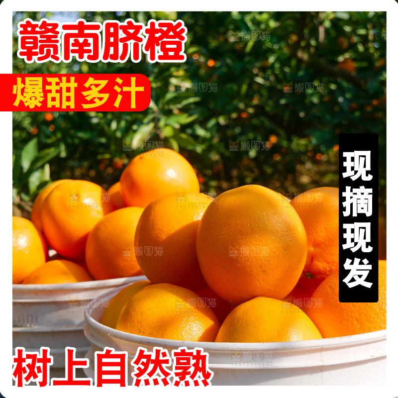 赣南脐橙