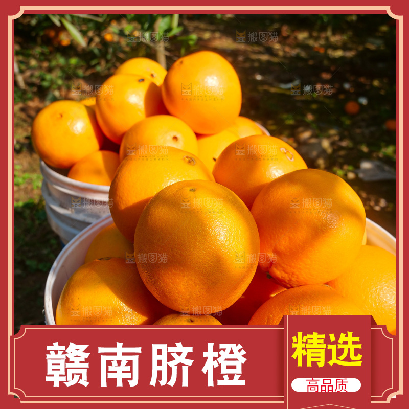 赣南脐橙