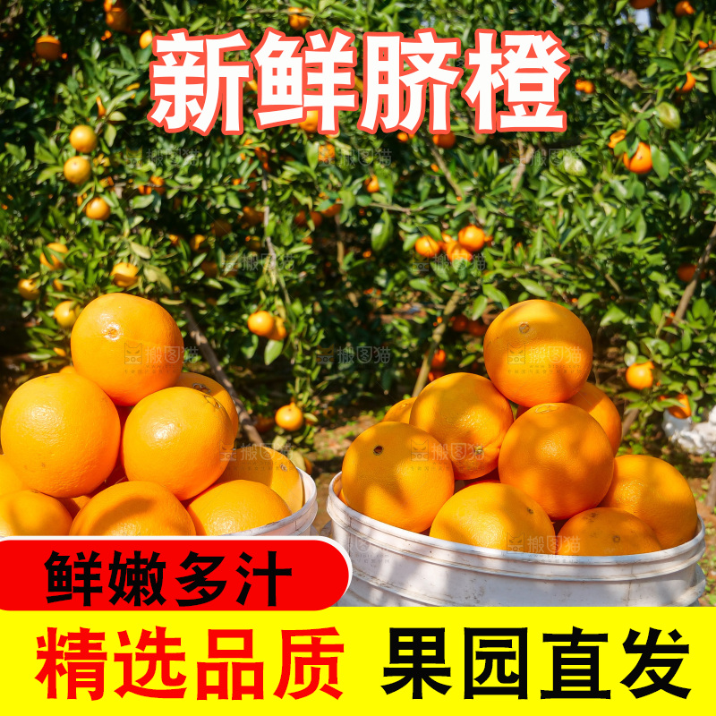 赣南脐橙