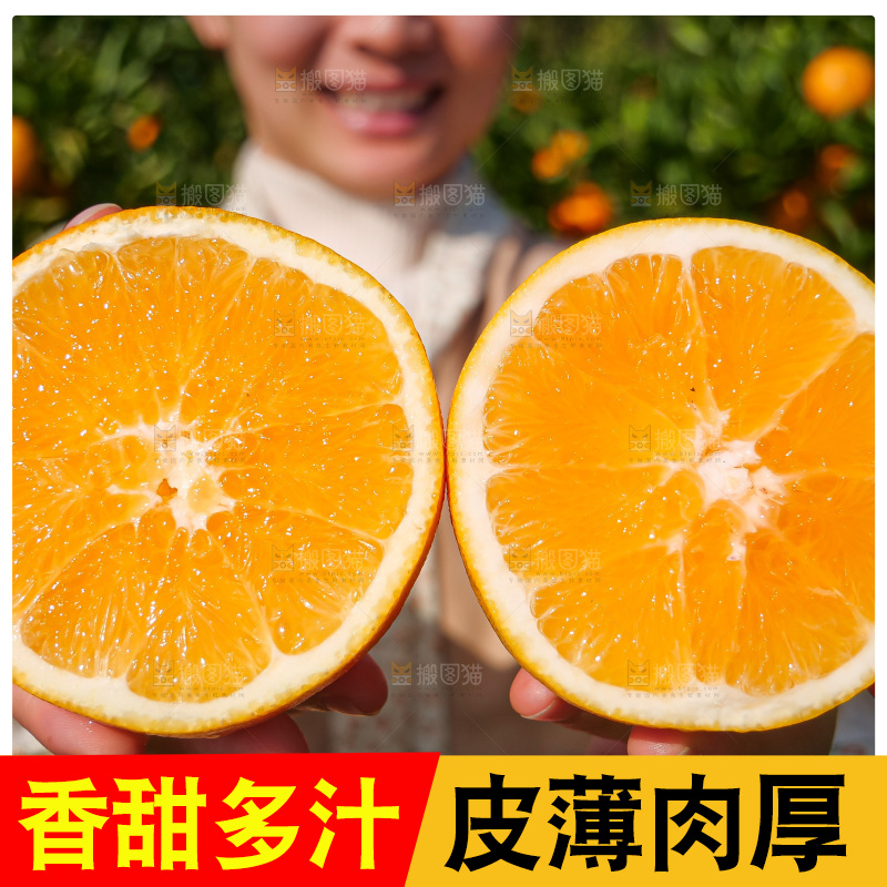 赣南脐橙