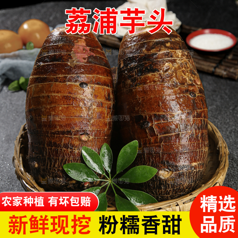 荔浦芋头