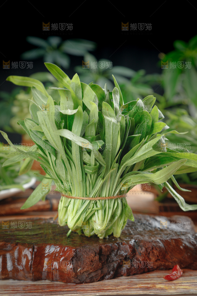 面条菜