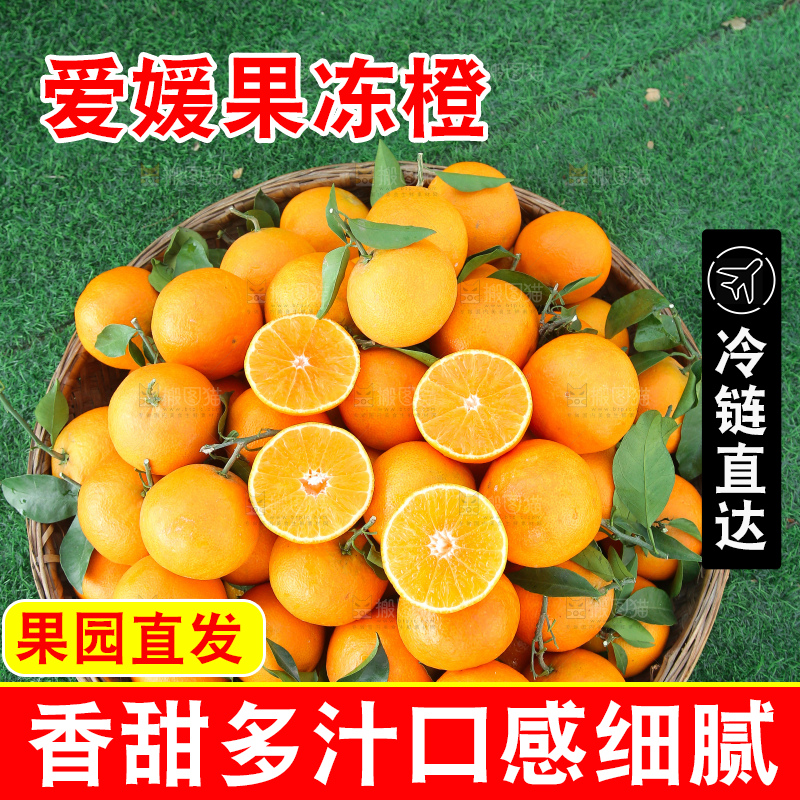 爱媛果冻橙
