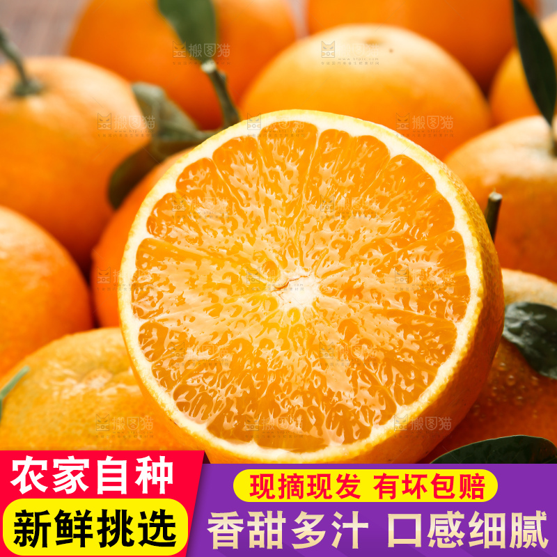 爱媛果冻橙