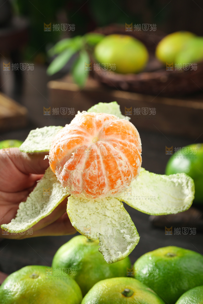 青皮蜜桔