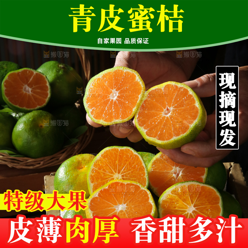 青皮蜜桔