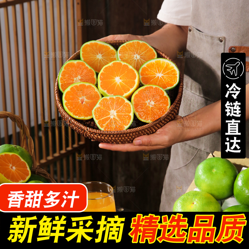 青皮蜜桔