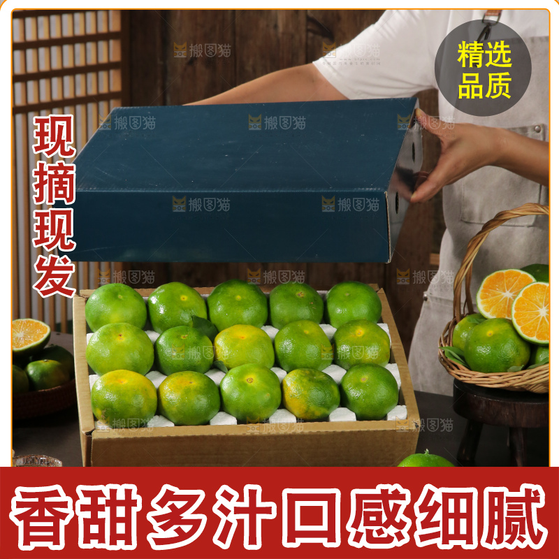 青皮蜜桔
