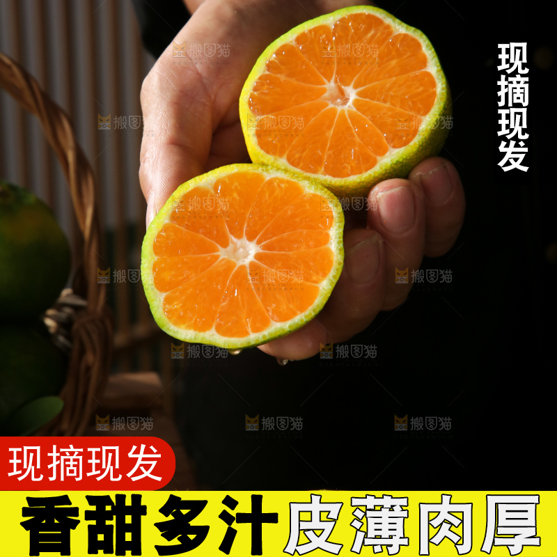青皮蜜桔