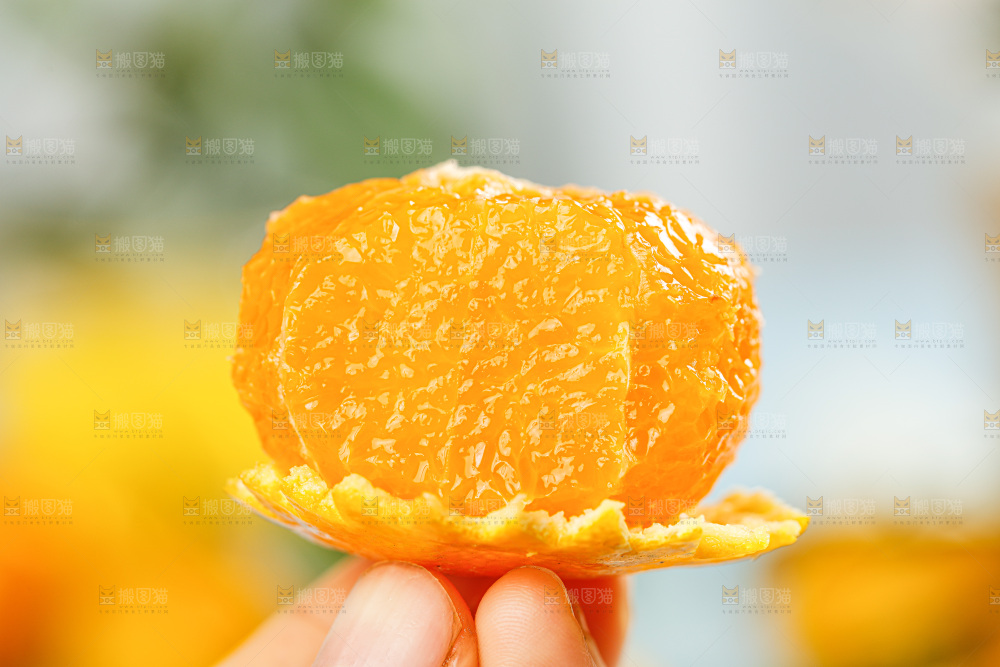 南丰蜜桔