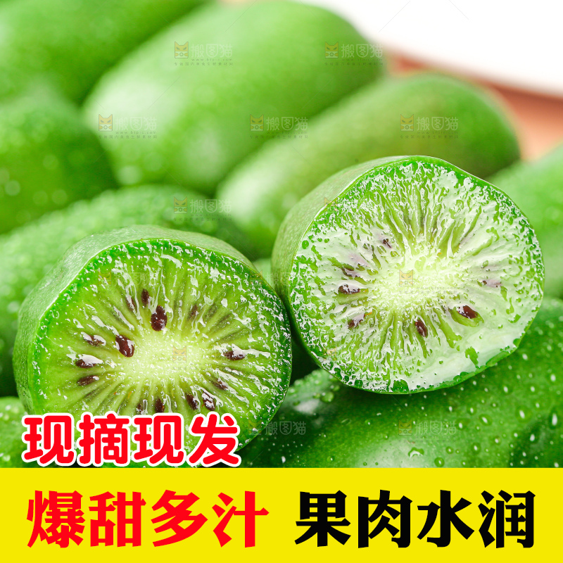软枣猕猴桃