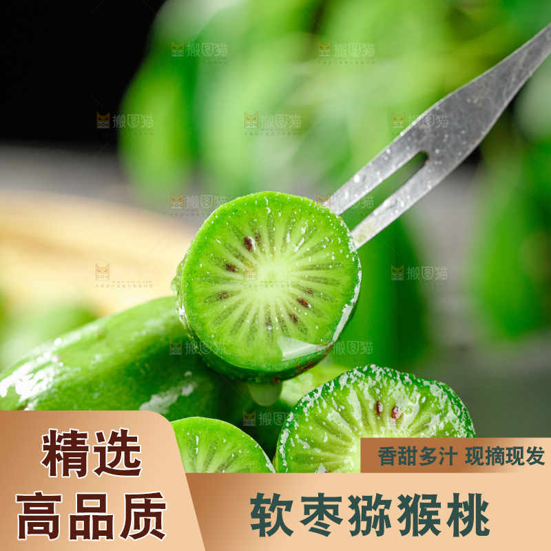 软枣猕猴桃
