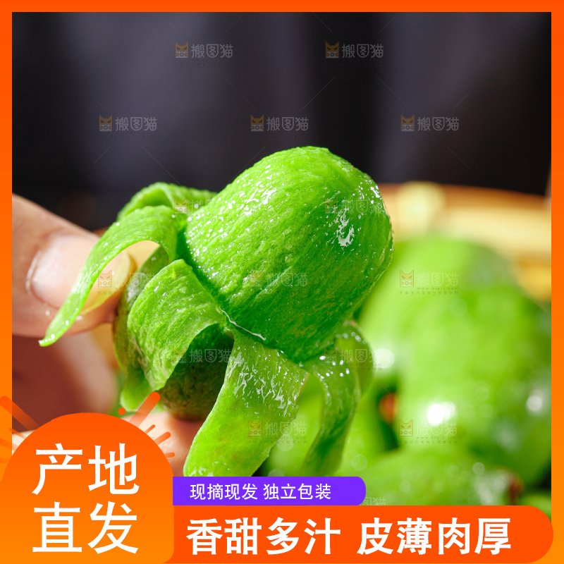 软枣猕猴桃