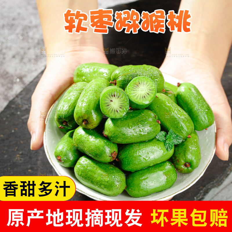 软枣猕猴桃