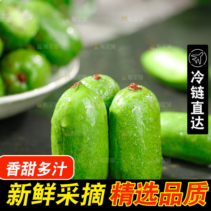 软枣猕猴桃