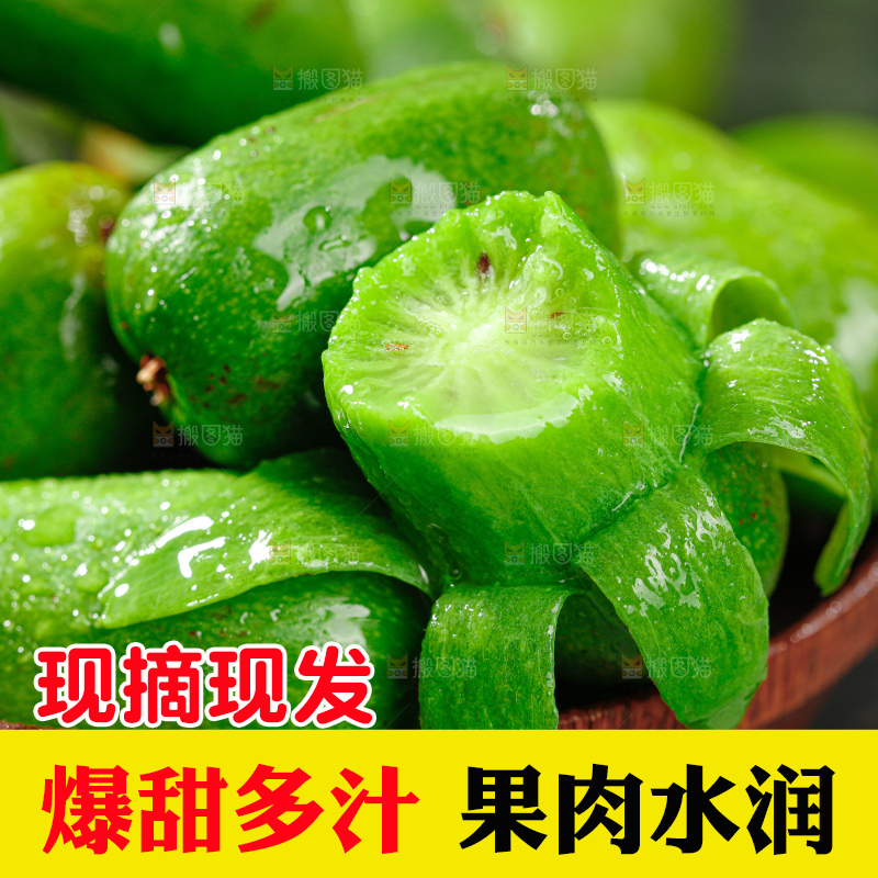 软枣猕猴桃