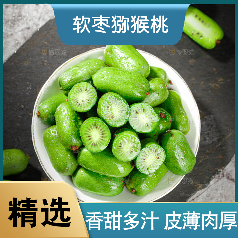 软枣猕猴桃