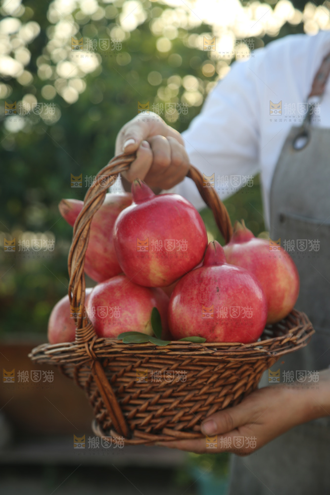酸石榴