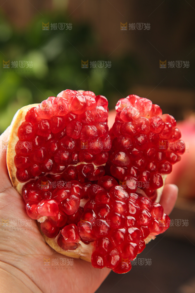 酸石榴
