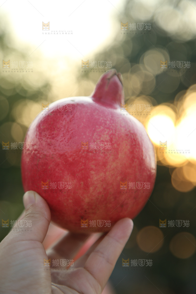 酸石榴
