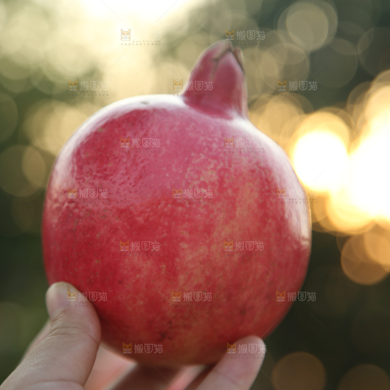 酸石榴