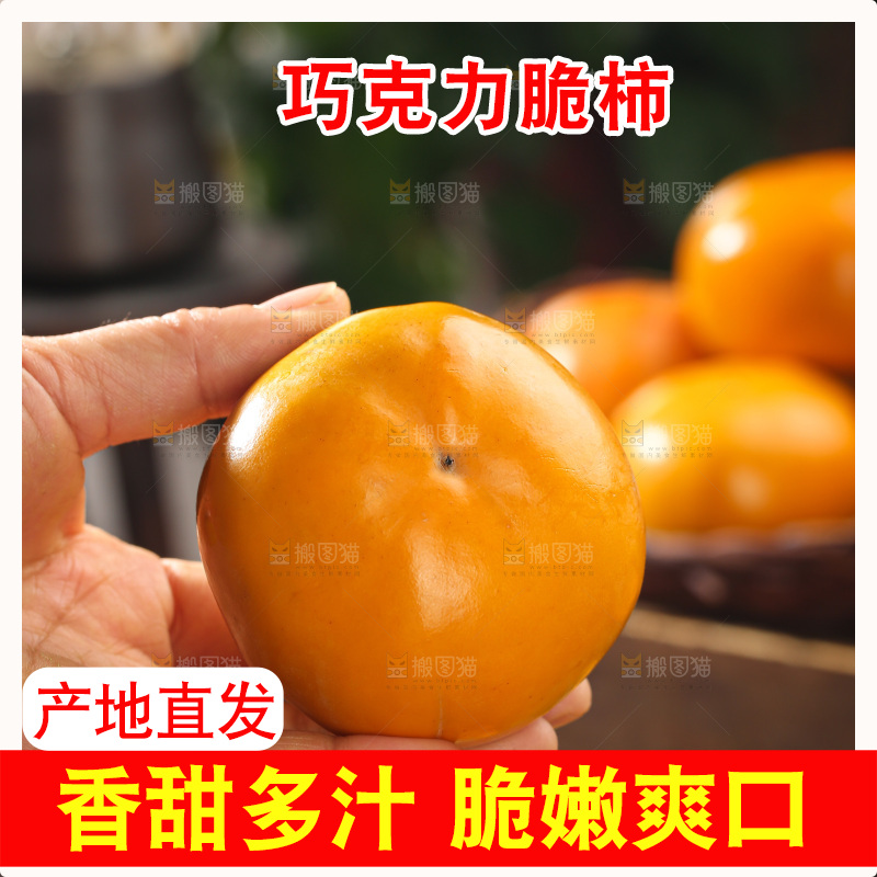 巧克力脆柿