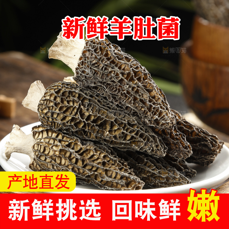 羊肚菌