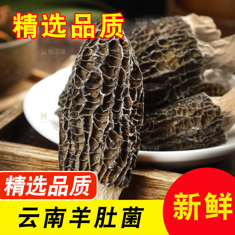 羊肚菌