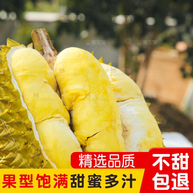 金枕榴莲