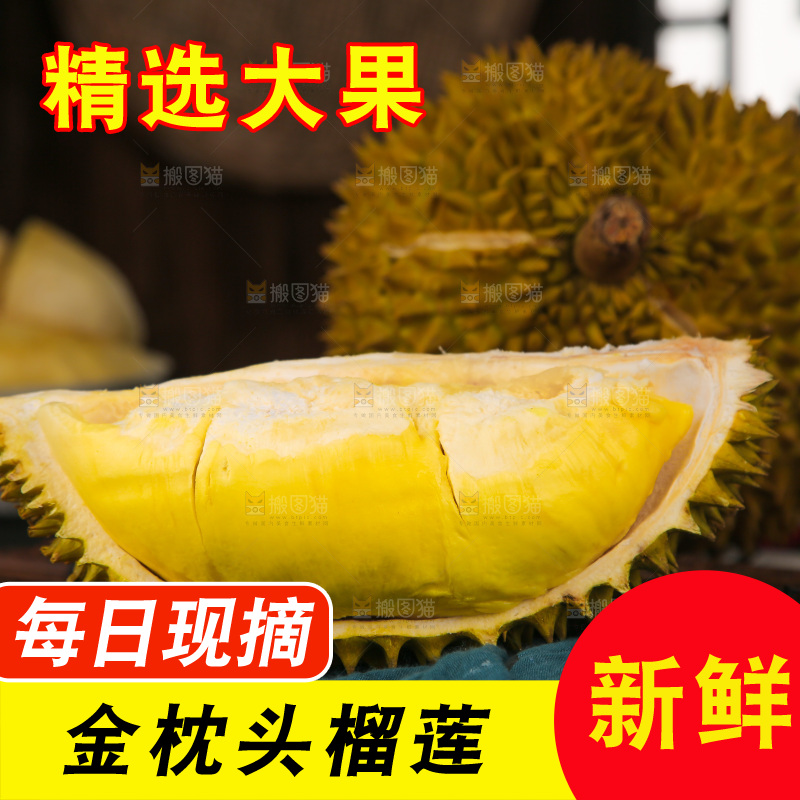 金枕榴莲