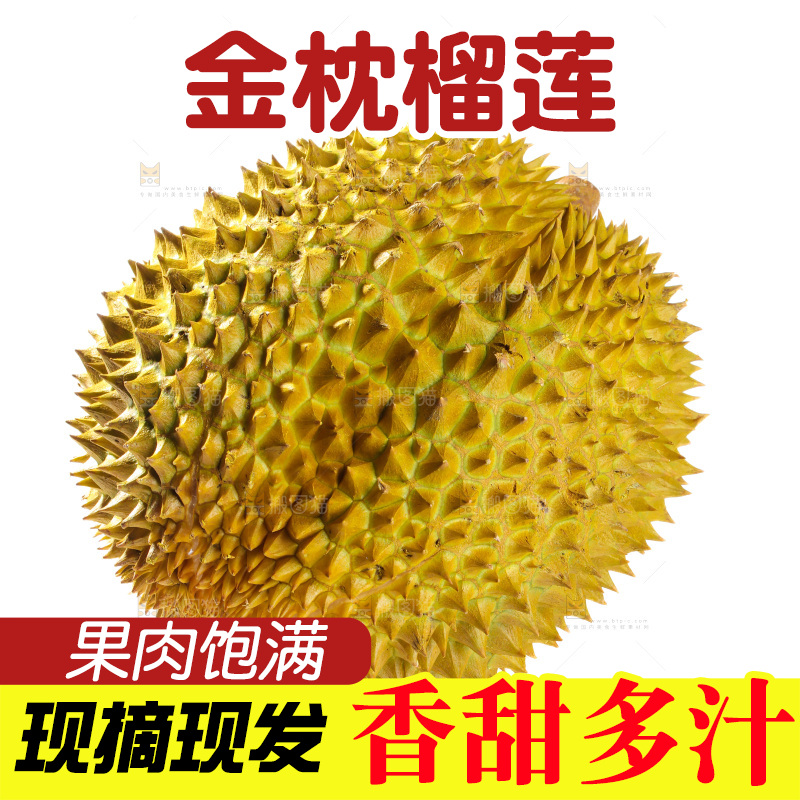 金枕榴莲