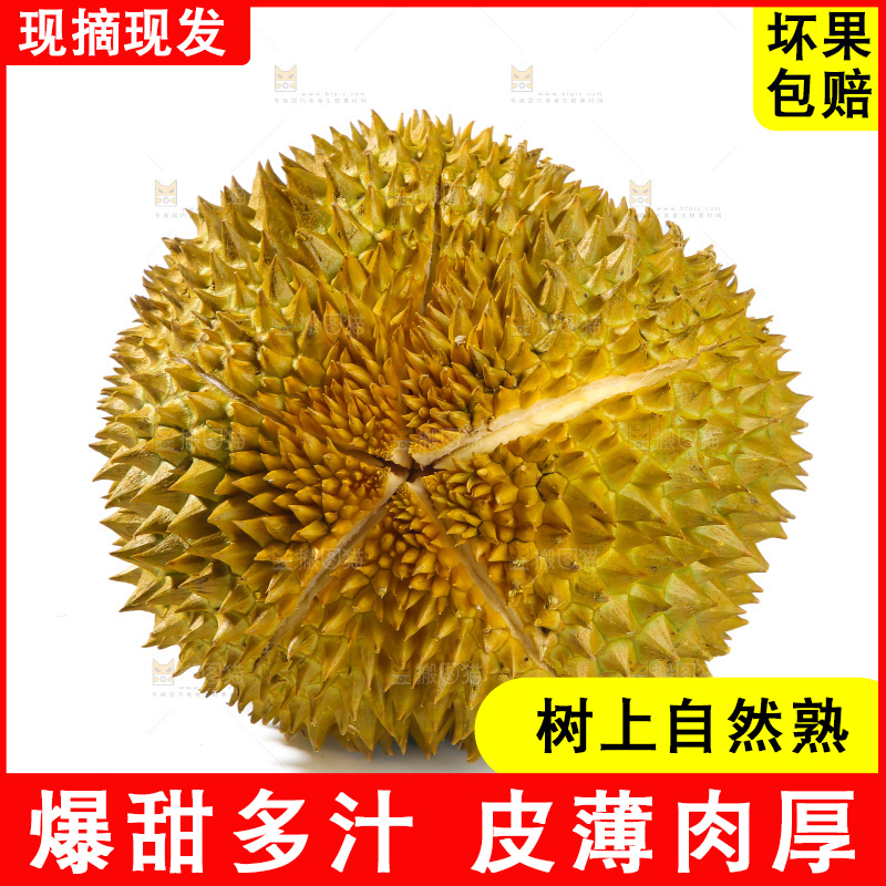金枕榴莲