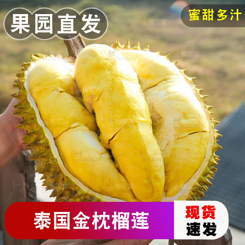 金枕榴莲