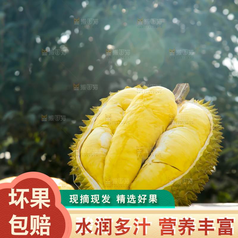 金枕榴莲