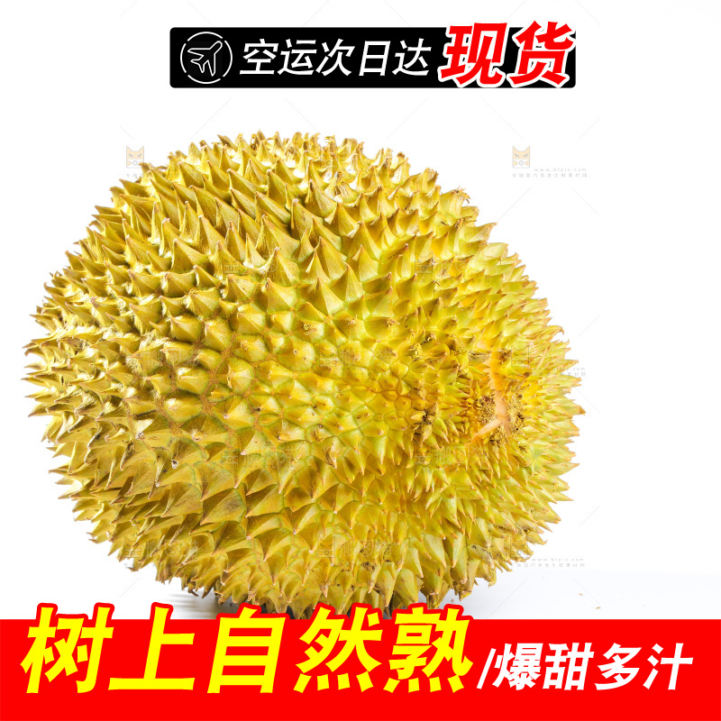 金枕榴莲