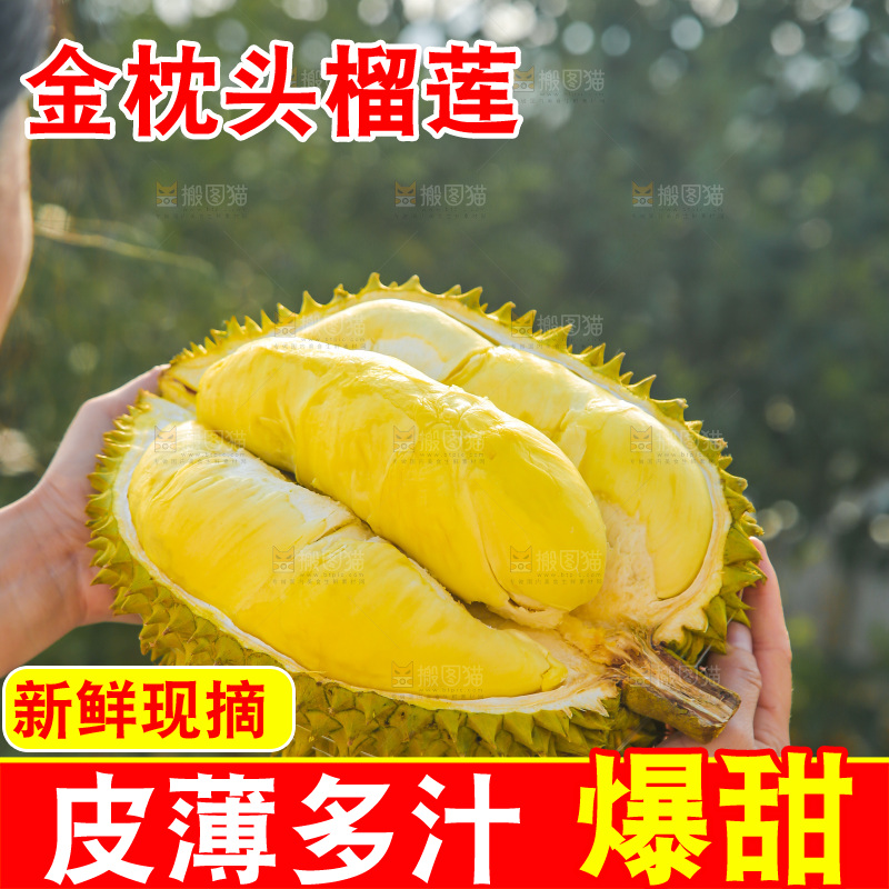 金枕榴莲