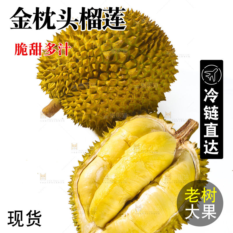 金枕榴莲