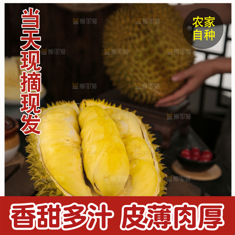 金枕榴莲