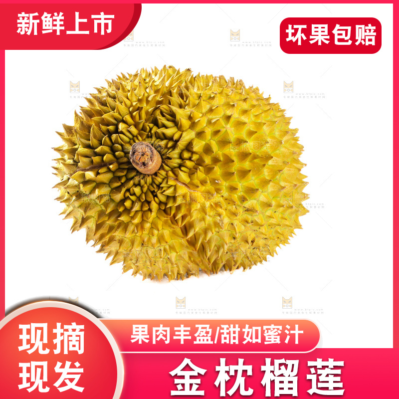 金枕榴莲