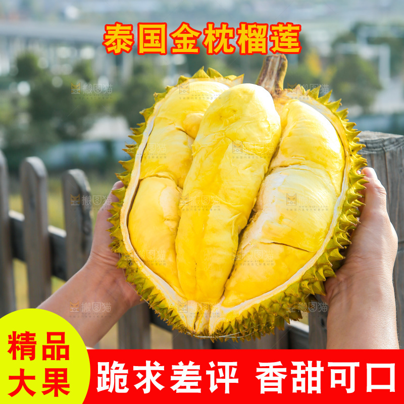 金枕榴莲