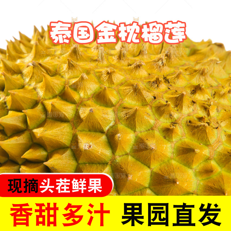 金枕榴莲
