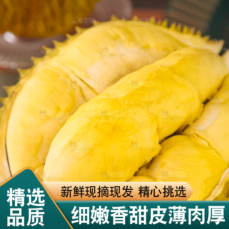 金枕榴莲