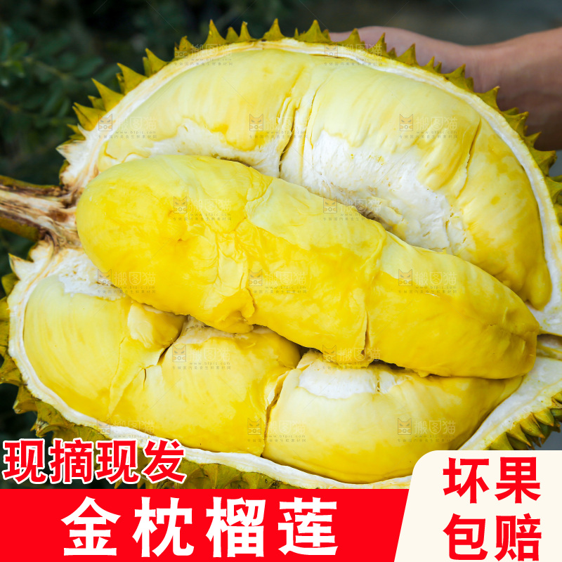 金枕榴莲