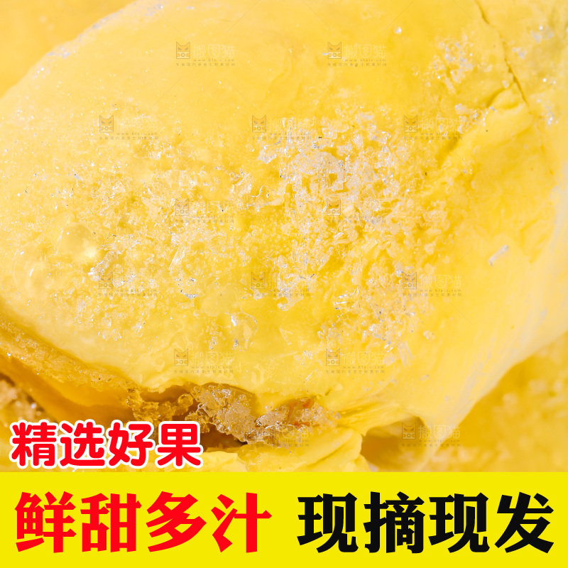金枕榴莲