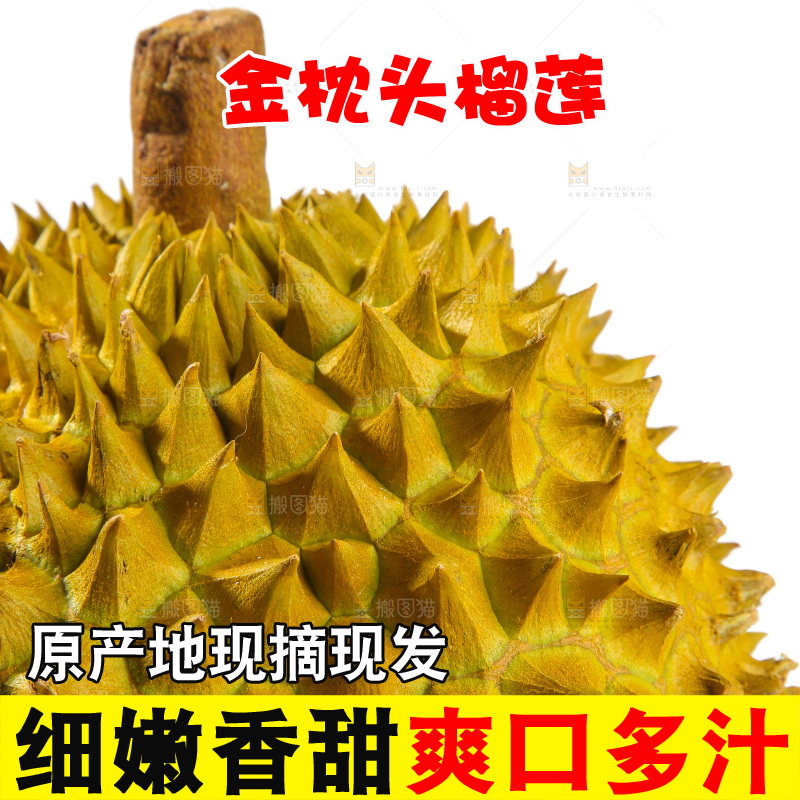 金枕榴莲