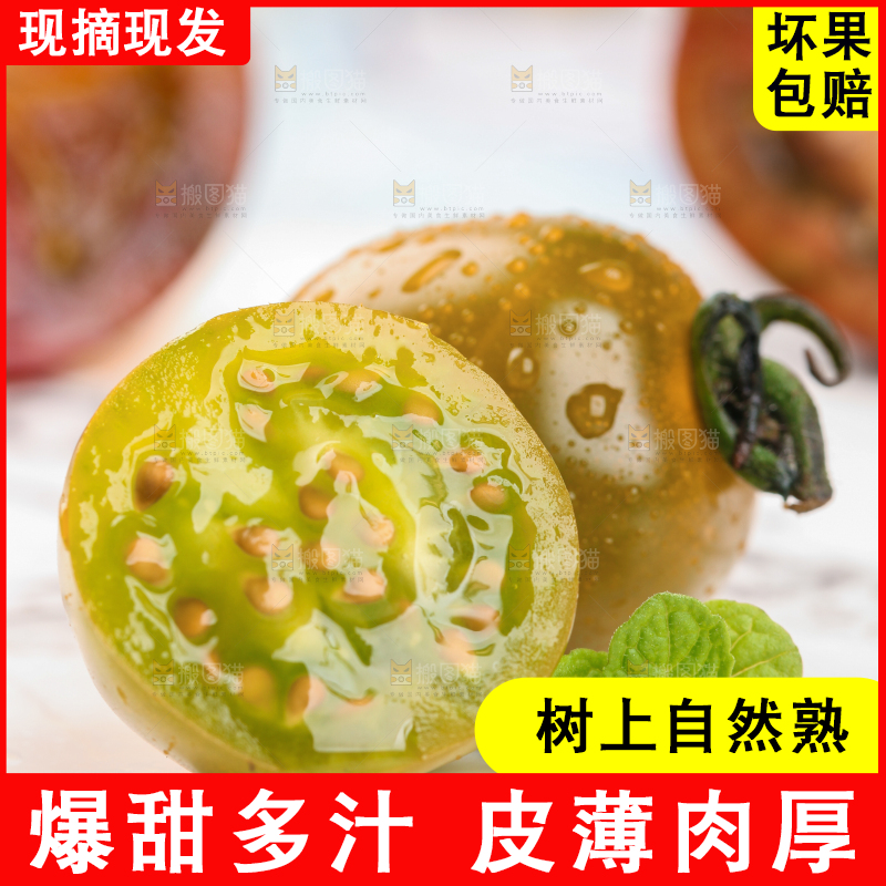 青口蜜小番茄